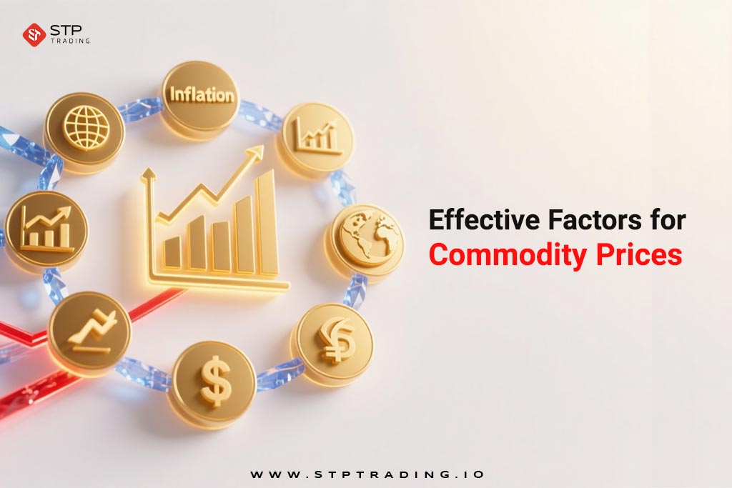 Effective Factors for Commodity Prices