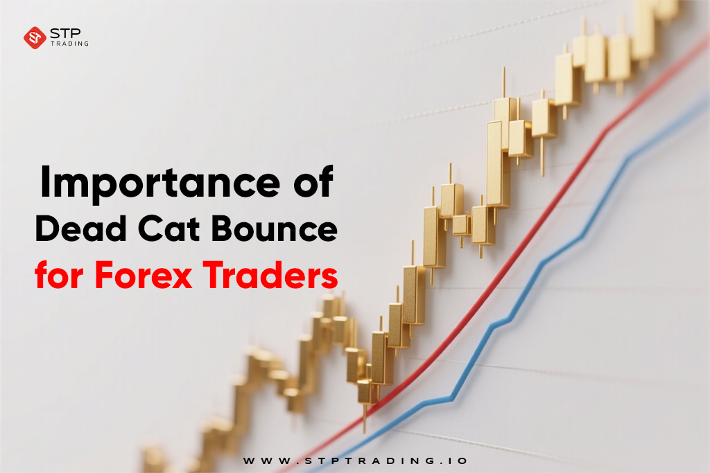 Importance of Dead Cat Bounce for Forex Traders