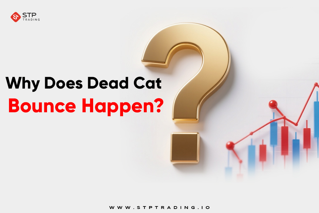 Why Does Dead Cat Bounce Happen?