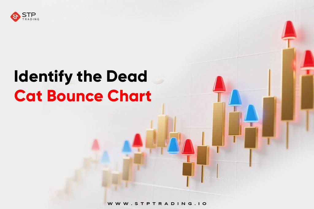 Identify the Dead Cat Bounce Chart
