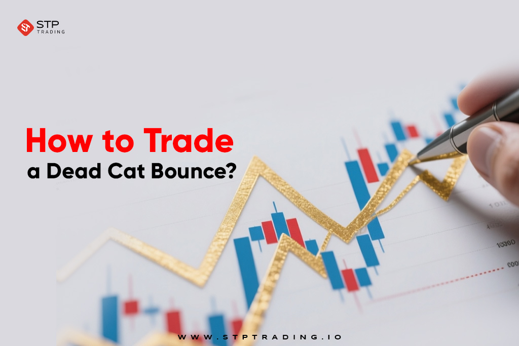 How to Trade a Dead Cat Bounce?