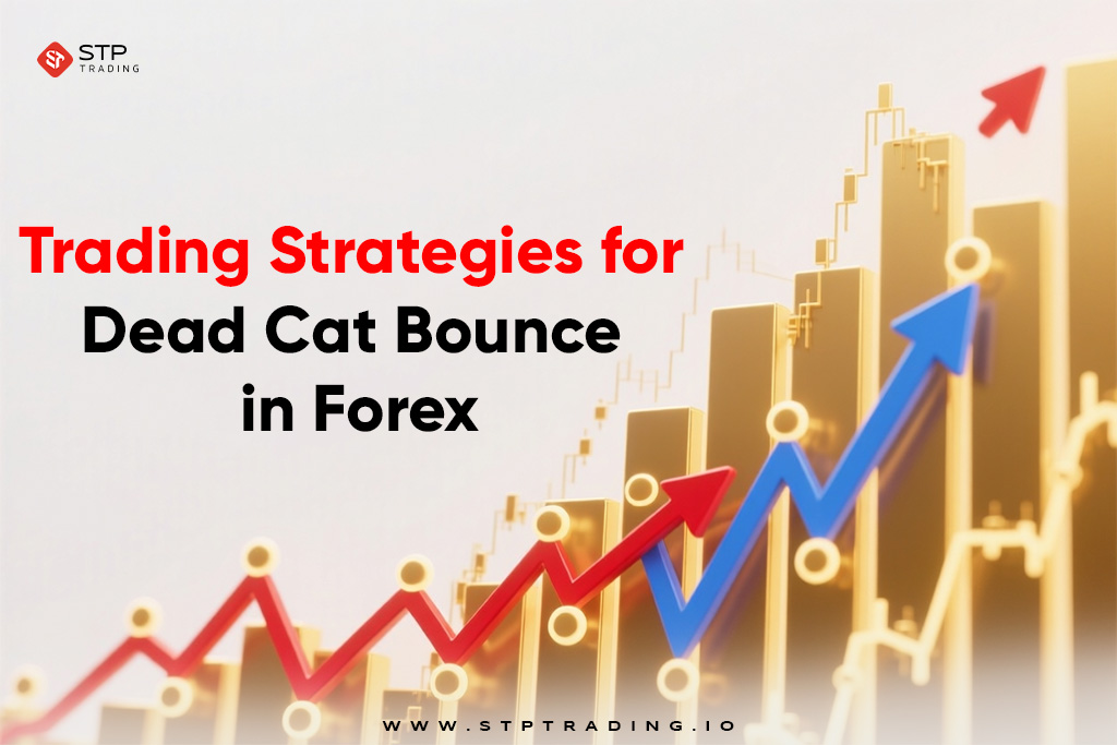 Trading Strategies for Dead Cat Bounce in Forex