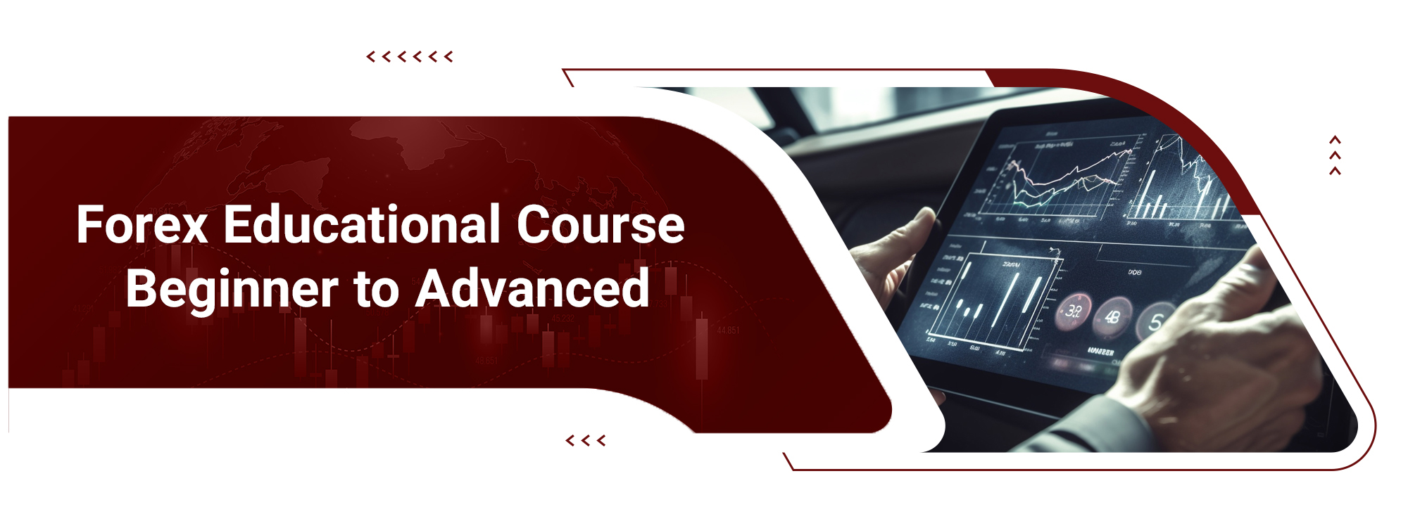 STP forex tutorials
