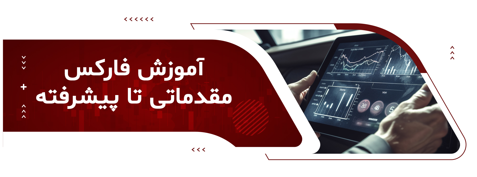 STP forex tutorials