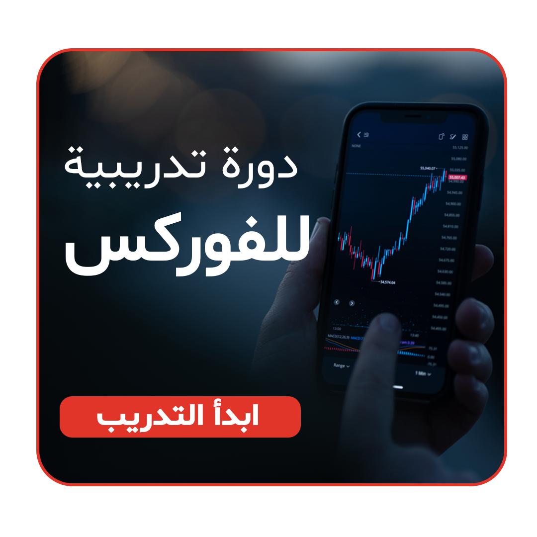 STP forex Education