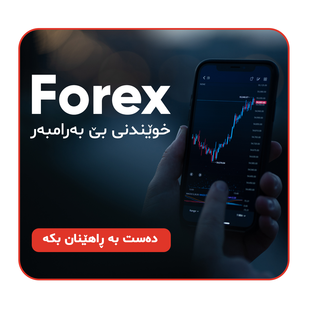 STP forex Education