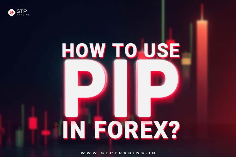 What Is a Pip in Forex Trading and How to Calculate It? - STP TRADING