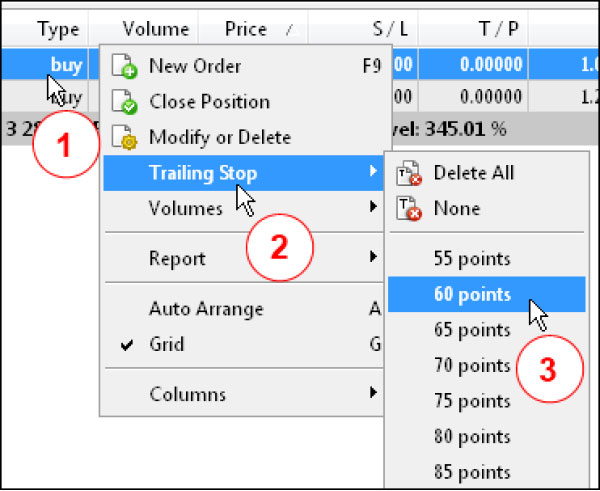 Remove Trailing Stop MT5