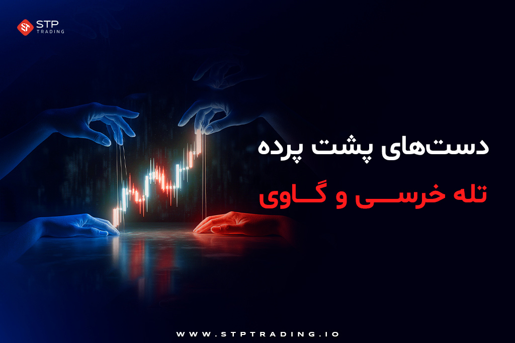 دست‌های پشت پرده تله خرسی و گاوی