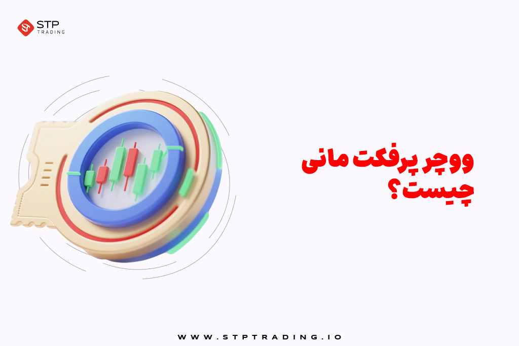 ووچر پرفکت مانی چیست؟