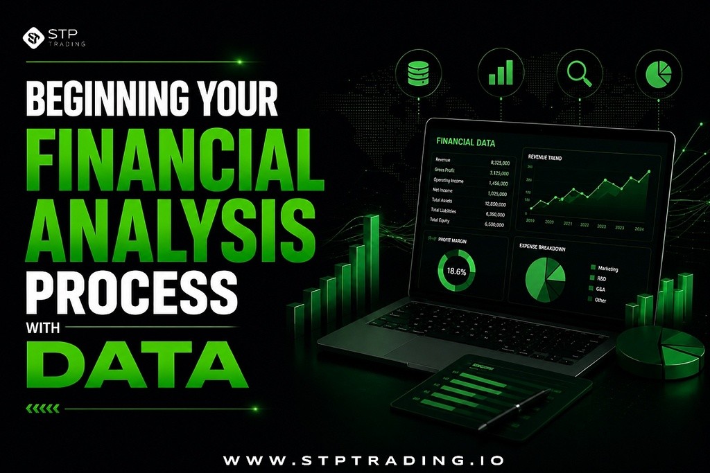 Financial Analysis Process with Data